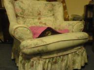 armchair cat cookie cute hiding // 640x480 // 73.9KB