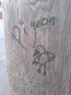 graffiti pigeon telephone-pole // 480x640 // 55.6KB