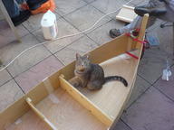 boat bob's_basement cat // 1632x1224 // 395.4KB
