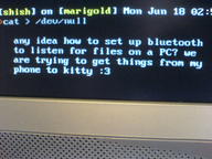 2007 bluetooth debconf kitty // 640x480 // 82.7KB
