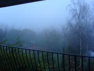 fog valley // 640x480 // 53.3KB