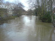 2008 flood January ukc // 1632x1224 // 512.8KB