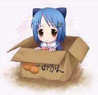 box catgirl // 600x580 // 333.3KB
