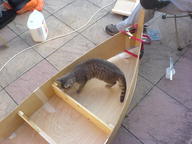 boat bob's_basement cat // 1632x1224 // 353.4KB